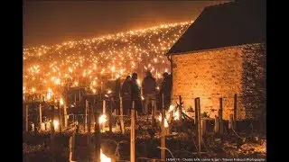 French Vineyards Freeze & Solar Cycle 24 Tapers Off (808)