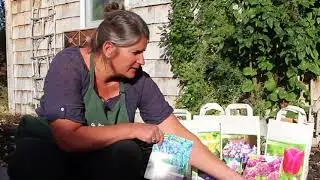 Fall bulbs what should you plant?