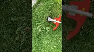 PROYAMA | 42.7cc Gas Weed Wacker