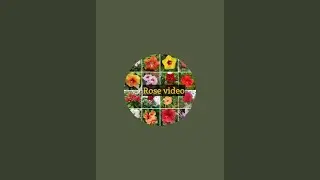 Parvin Sweetheart, mobile,add knowledge, bangla vlogs animals vlogs, flowers vlogs, rose vlogs,