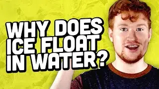 Why Does Ice Float In Water?