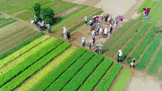 Sustainable tourism an inevitable trend: Insiders