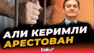 В отношении председателя ПНФА Али Керимли&nbsp;избрана мера пресечения в виде ареста - BAKU TV | RU