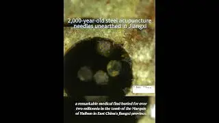 🪡2,000-year-old steel acupuncture needles unearthed in #Jiangxi