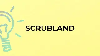 What is the meaning of the word SCRUBLAND?