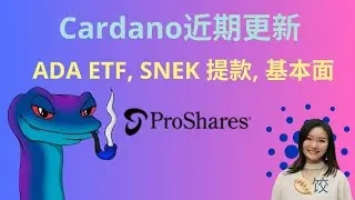 Cardano近期更新：Ada ETF, snek 提款, 基本面 #ada币