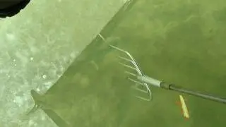 Darkhouse spear 44.5