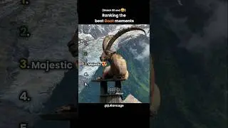 Ranking best goat moments