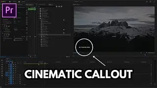 Easy Cinematic Callout Tutorial in Premiere Pro
