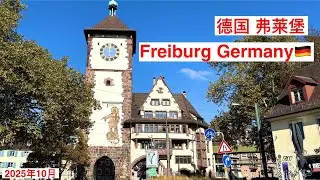 Freiburg im Breisgau, Germany | Old town | City runnels｜Dreisam River 德国弗莱堡一日游 ｜老城城市中心路面的水渠 ｜德赖萨姆河