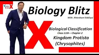 11th Class Biology | Chrysophites (Diatoms & Desmids)