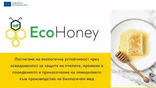 Да помогнем на пчелите!