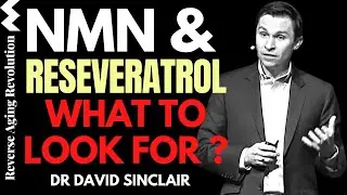 NMN & RESVERATROL&ndash; WHAT TO LOOK FOR? | Dr David Sinclair Interview Clips