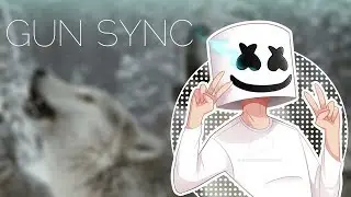 CS:GO Gun sync : Wolves (Lyrics + Sync)