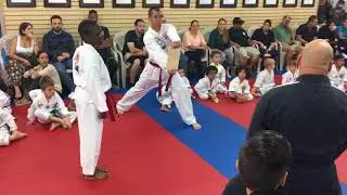 Taekwondo Test red belt