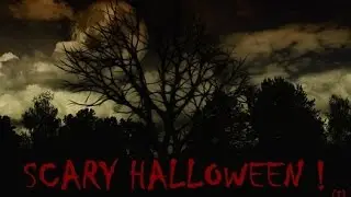 Creepy Sounds of Ghosts in a Haunted Forest