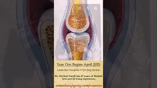 Muscle Tendon Change - Yi Jin Jing - Increasing Bone Density with Osteocalcin