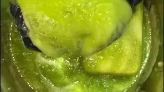 CREST O MINT MIX — SQUEEZE COMP 💚 CREST O MINT x4 w/ OCEAN PINE + XTRA PINE 🌲 ASMR SPONGE SQUEEZING🧽