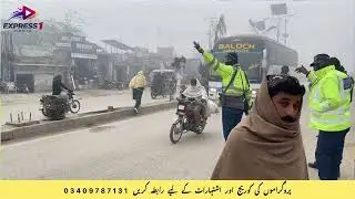 Which Trick Do Drivers Use in Fog? Shocking Reality!