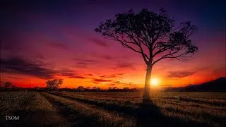 Beautiful Contemporary & New Age Music | 2-Hour Mix