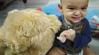 #BabyLuv toys collection