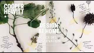 Design at Home: Design Observation