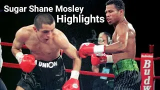 SUGAR SHANE MOSLEY - THE MOST ATHLETIC LIGHTWEIGHT OF ALL TIME (HIGHLIGHTS)