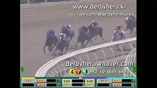 RealDerby 2person c