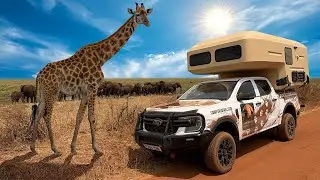 CAMPER CELL SAFARI TUTORIAL IN ITALIANO