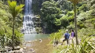 Auckland City and West Coast Luxury Tour - TIME Unlimited Tours