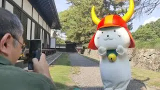ひこにゃん登場　滋賀県彦根市『日本100名城 彦根城』にて　2025.8.23