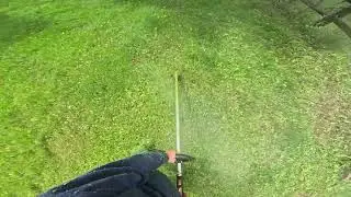 Short of the Echo Smr 410x in a backyard