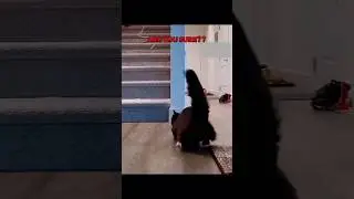 cat can't drift 💀