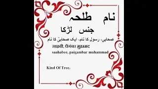 Talha Name Meaning in Urdu - Islamic baby names