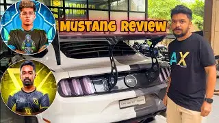 Day 4 - Jonathan's Mustang Review