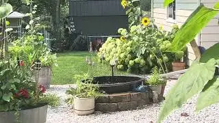 Creating Garden Rooms