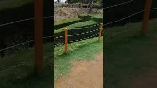 ooty karnataka horticulture garden #asmrrelaxing #walk #nature #quitebee #ooty #ootyvlog