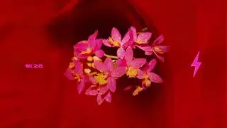 COTIS - All Night (Official Audio)