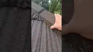 Lichen on Roofs