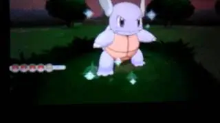 Carabaffe shiny au safari des amis