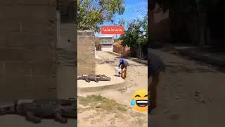 crocodile prank with public 🐊