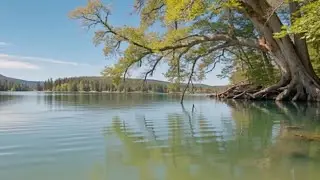 2 hour background video: Calm Lake
