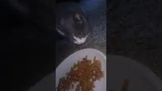 2026年1月21日朝　テトラ