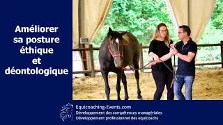 Pourquoi se faire superviser en tant qu'equicoach ? Equicoachs : 10 raisons de vous faire superviser