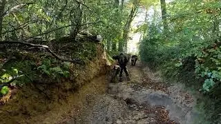 Ever Changing Waggoners Wells