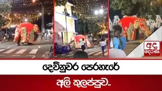 දෙවිනුවර පෙරහැරේ අලි කුලප්පුව..