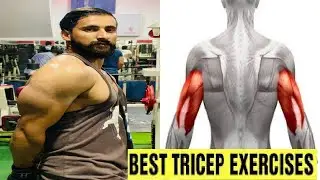 Best Tricep Exercises for Bigger Arms -Asfhan Raja Fitness!Complete Tricep Gym Workout