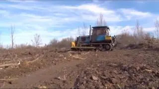 программа Вовремя за 23 11 2016
