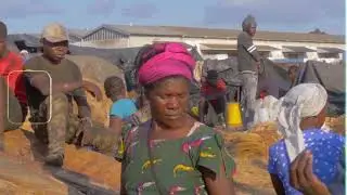 Mato Tumone _ Guy Pa Job ( Official Music Video) 2022