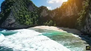 Reggae Fiesta Suave 🌴 Relajación y Alegría